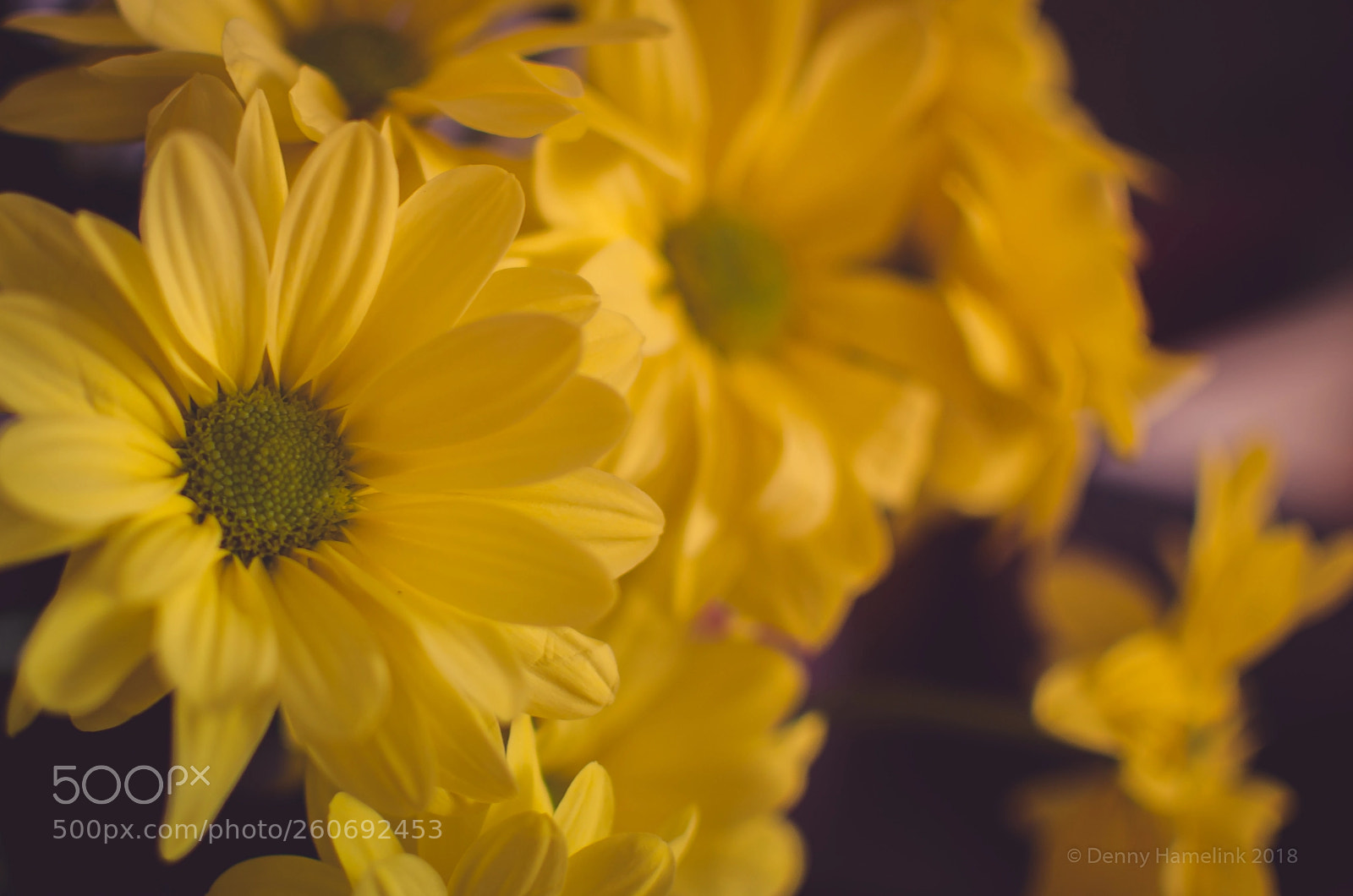 Nikon D7000 sample photo. Yellow submarine photography