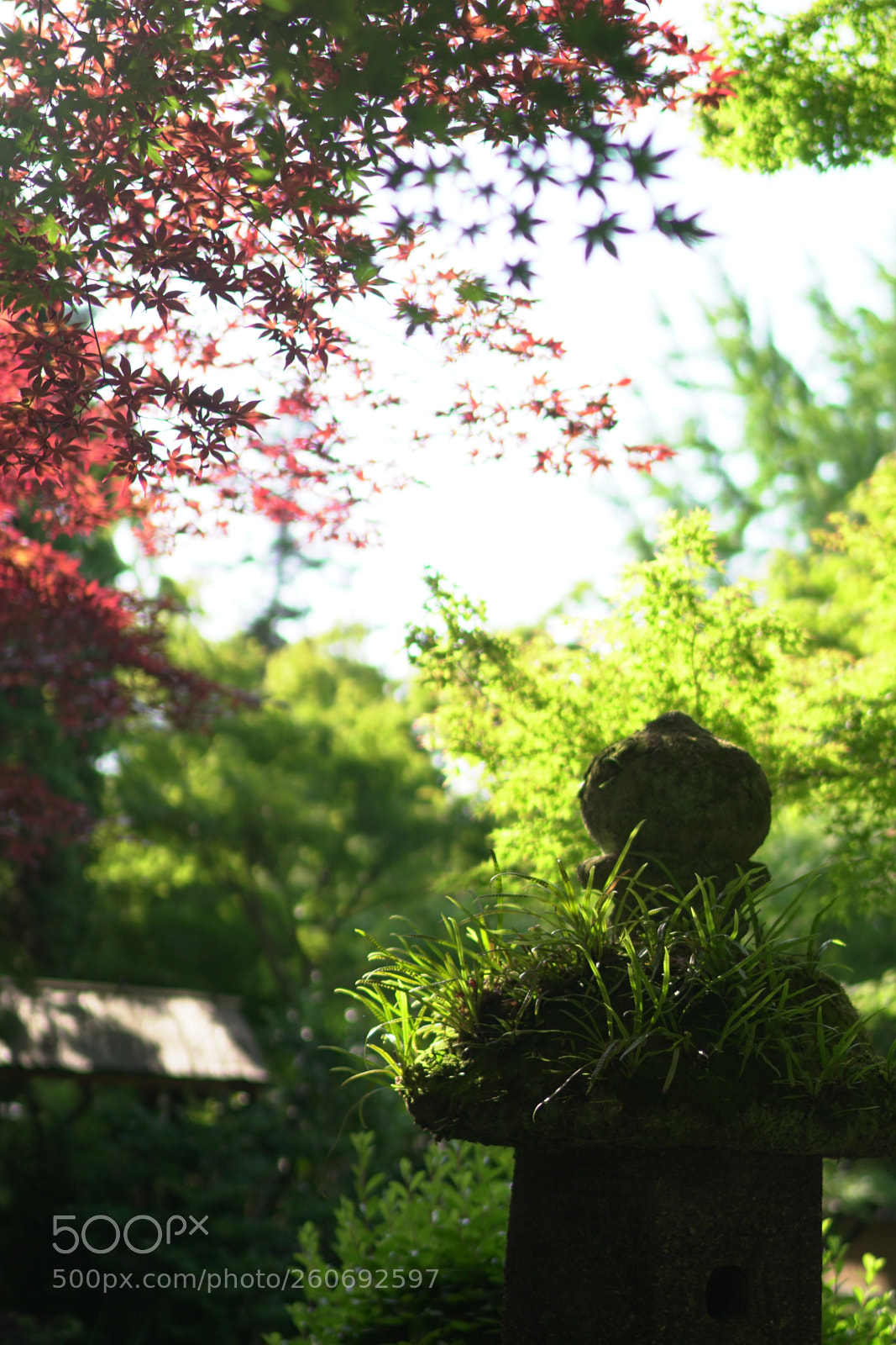 Sony a6500 sample photo. Practice_9 photography