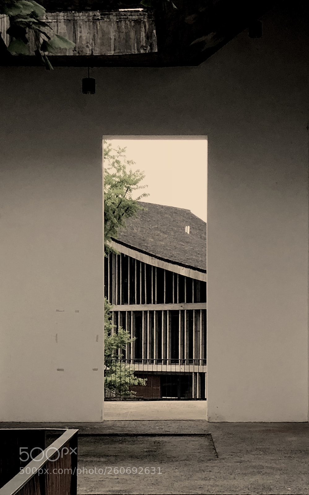 Apple iPhone 8 Plus sample photo. Untitled photography