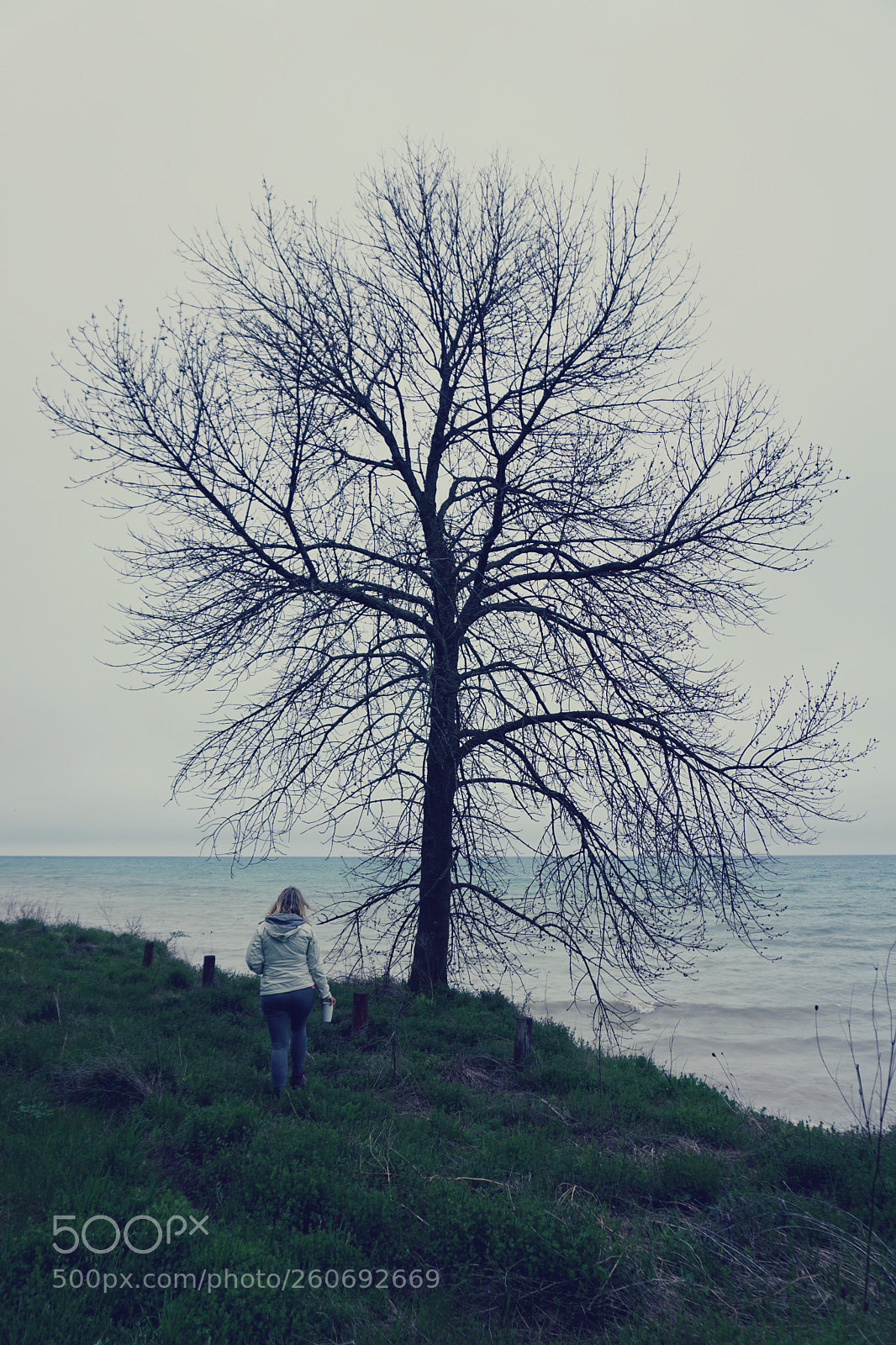 Sony a6000 sample photo. Lake ontario, darlington provincial photography