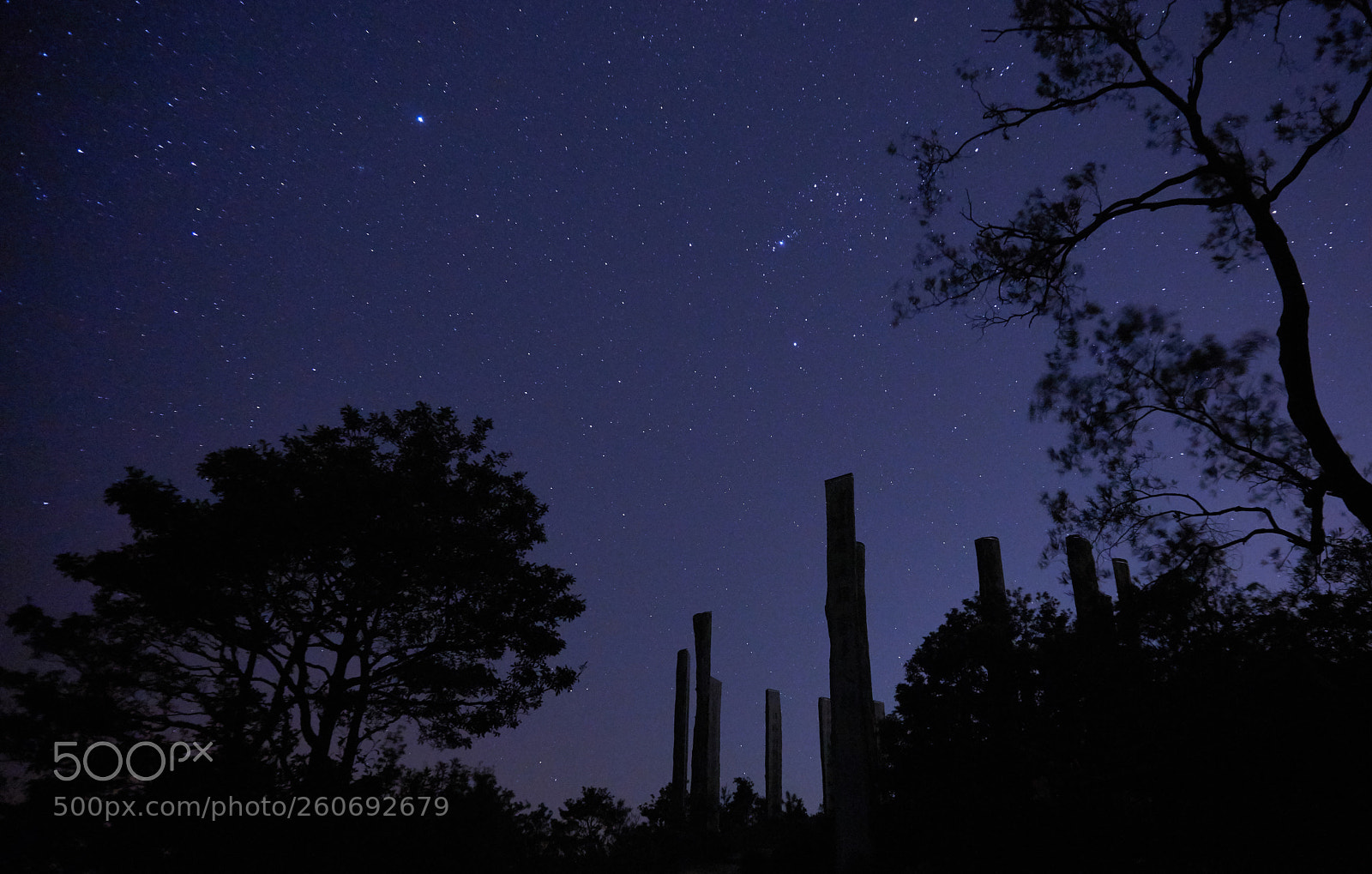 Sony a6000 sample photo. Starry night photography