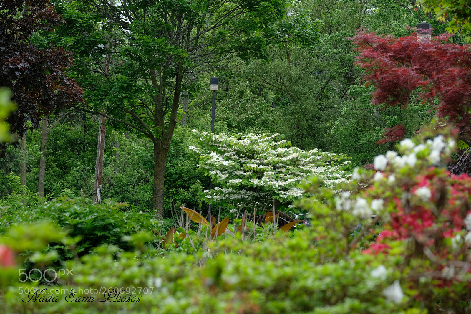 Fujifilm X-T2 sample photo. Scene 1 photography