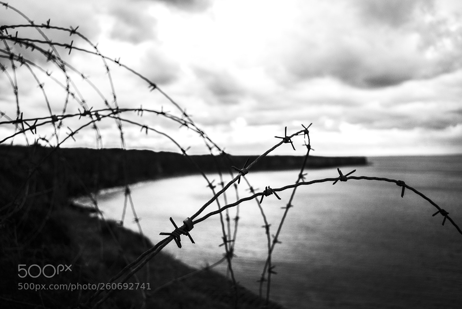 Nikon D60 sample photo. Black and white photography