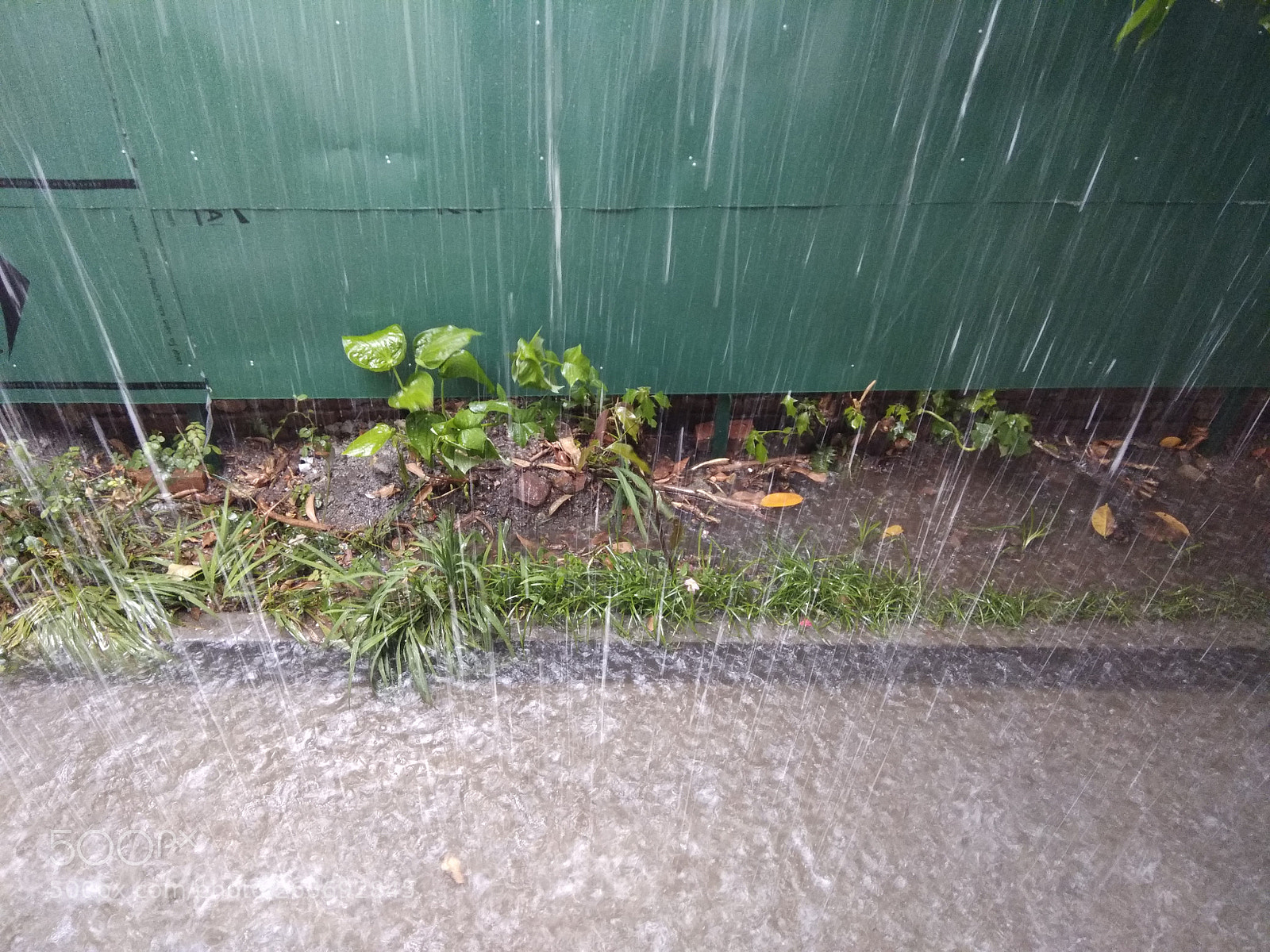 Xiaomi Redmi Note 4 sample photo. Heavy rainfall photography
