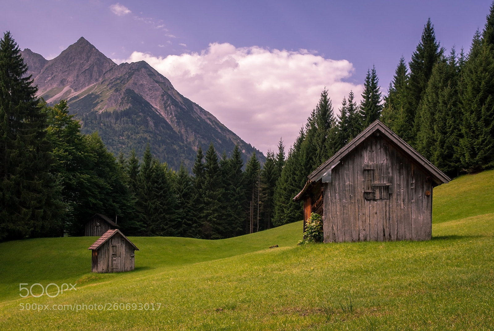 Nikon D200 sample photo. Alpine idyll in the photography