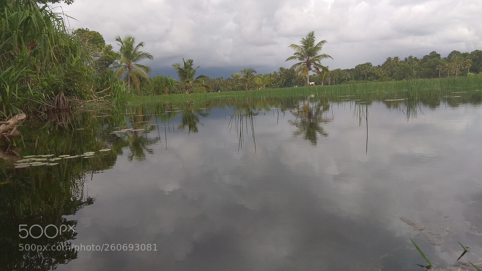 Xiaomi Redmi Note 4 sample photo. Untitled photography