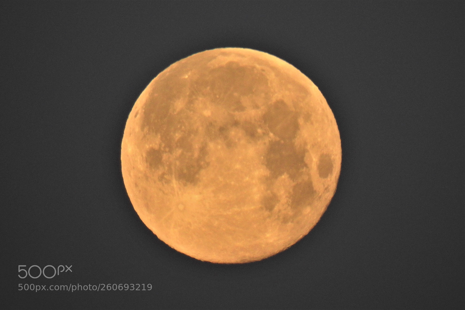 Nikon Coolpix P900 sample photo. Full moon photography