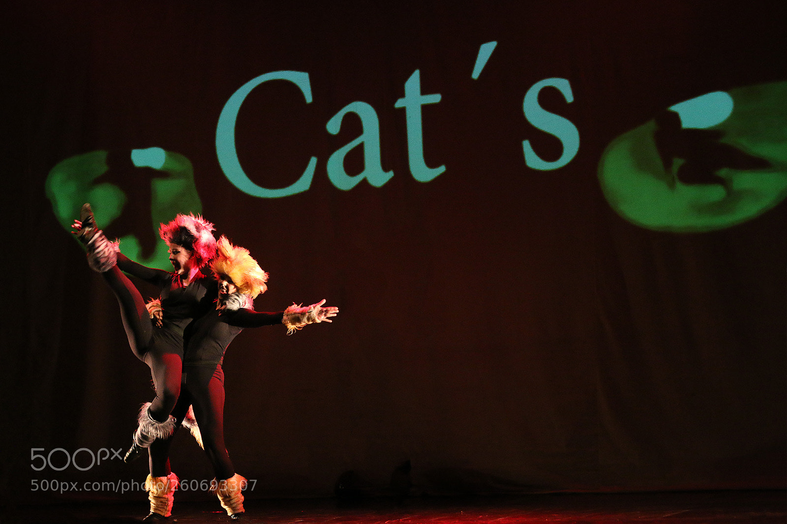 Canon EOS 70D sample photo. Img photography