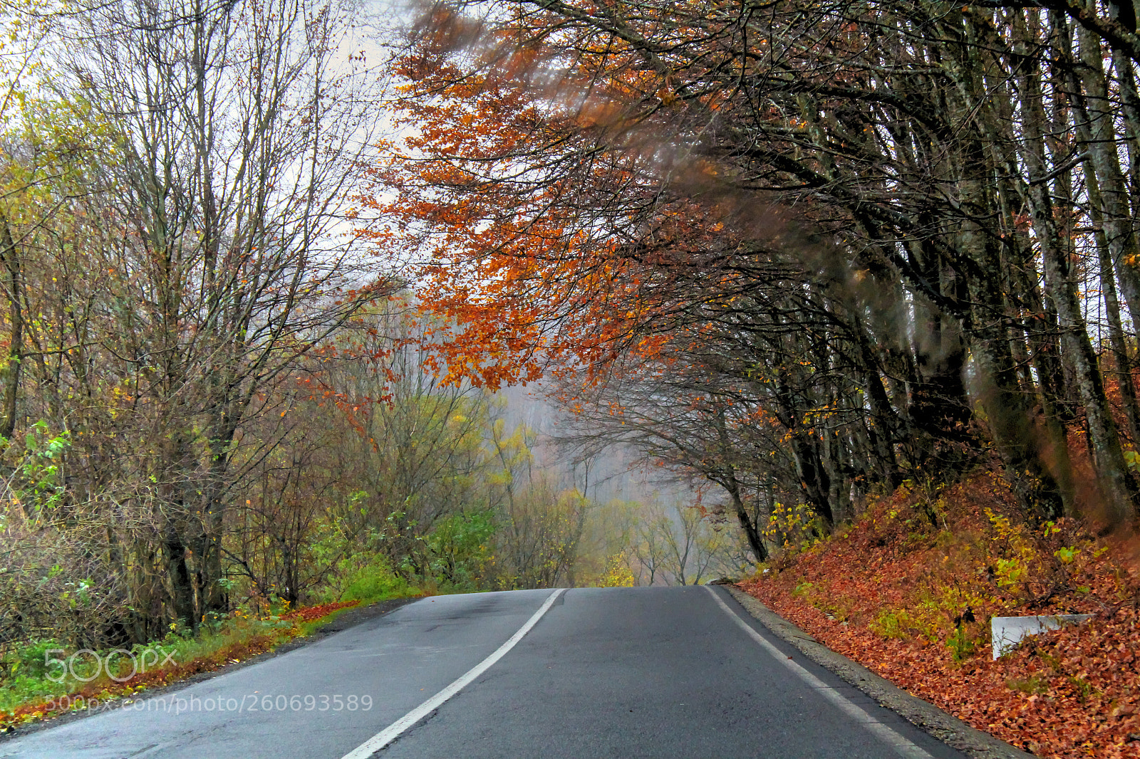 Canon EOS 1300D (EOS Rebel T6 / EOS Kiss X80) sample photo. On the road.. photography