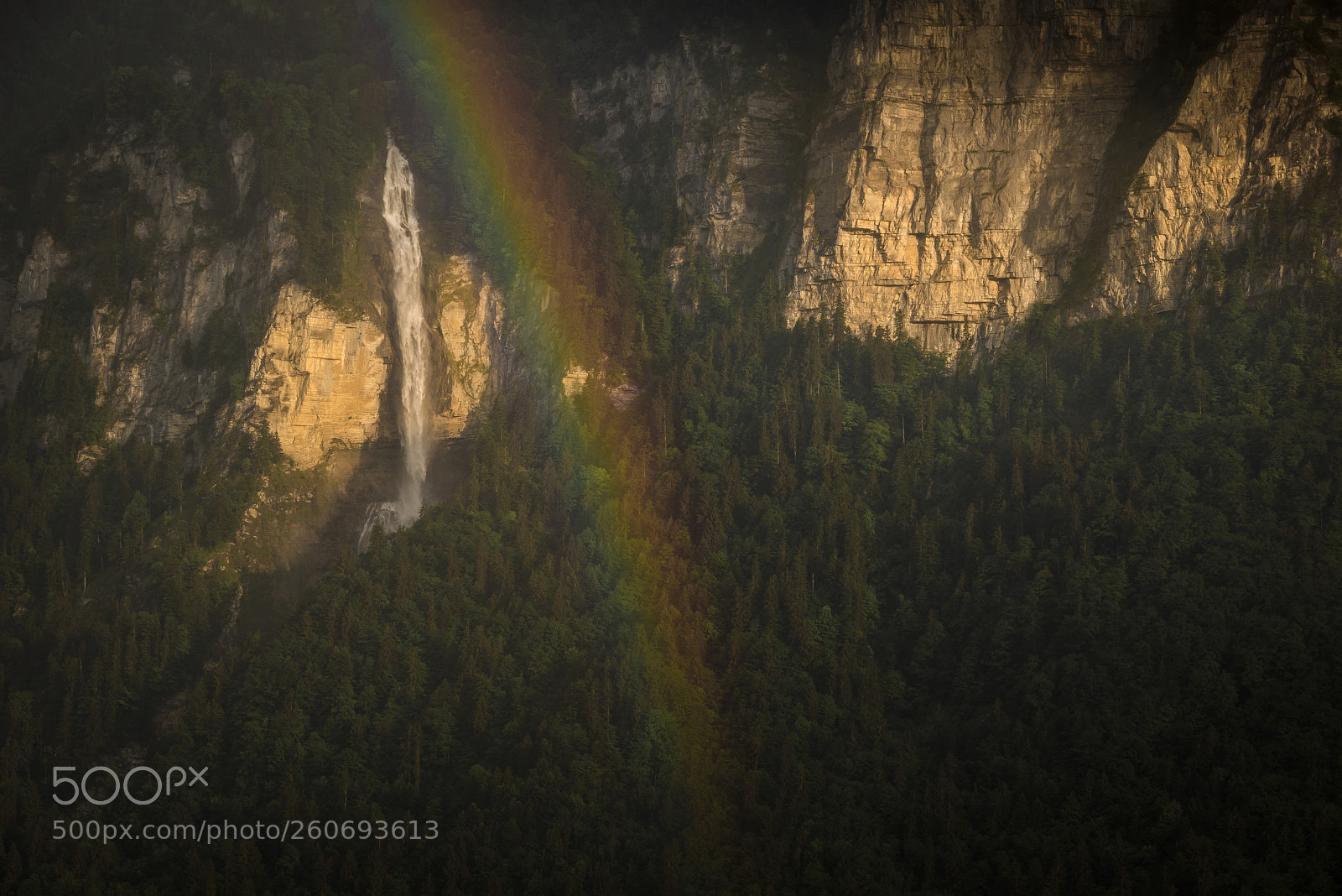 Nikon D610 sample photo. Regenbogenausschnitt photography