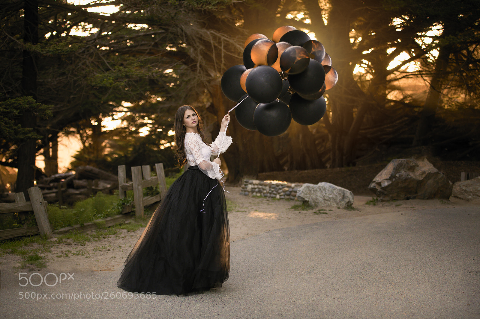 Nikon D850 sample photo. Untitled photography