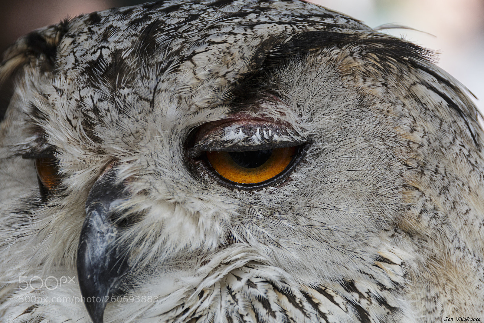 Canon EOS 70D sample photo. Mirada photography