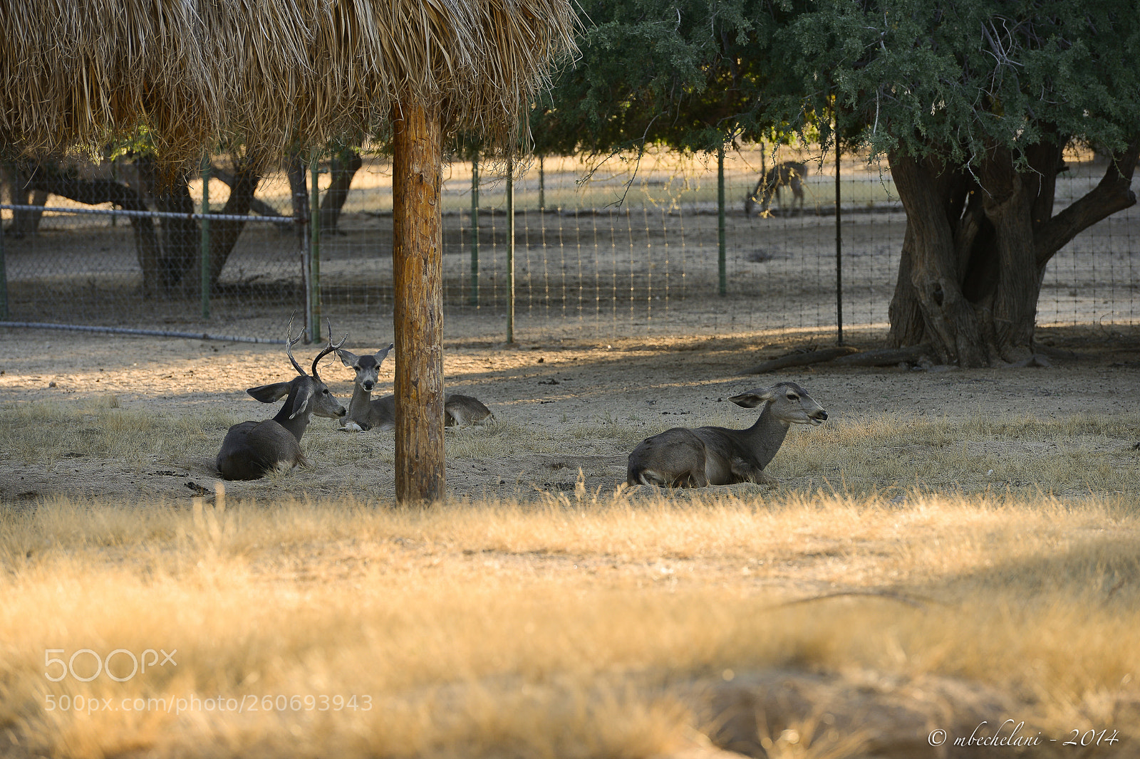 Nikon D800 sample photo. Ffao photography