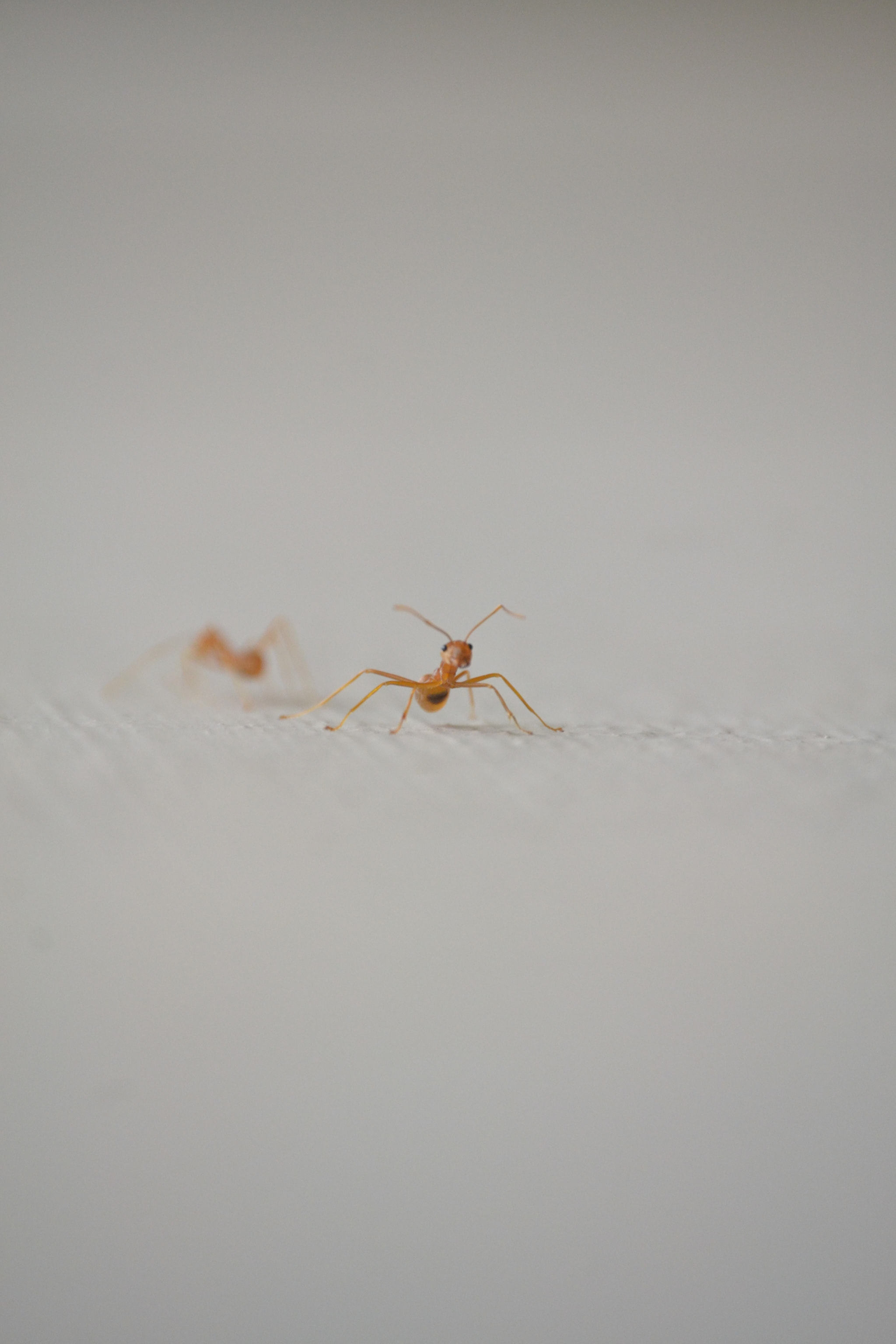 Nikon D3100 sample photo