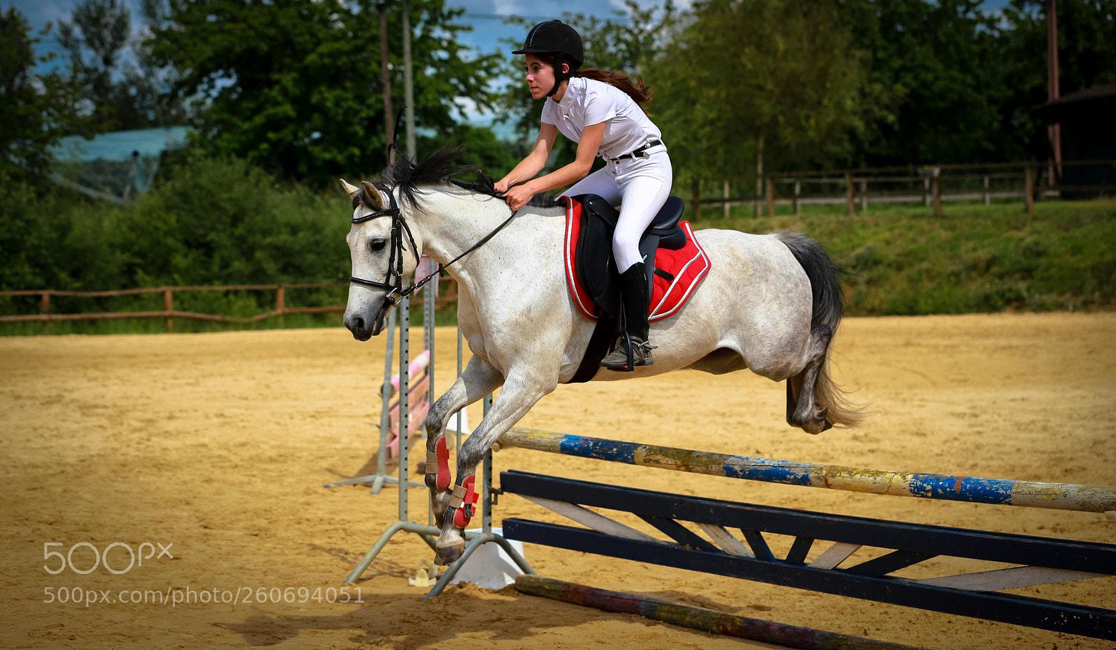 Canon EOS 6D Mark II sample photo. Flying pony... photography