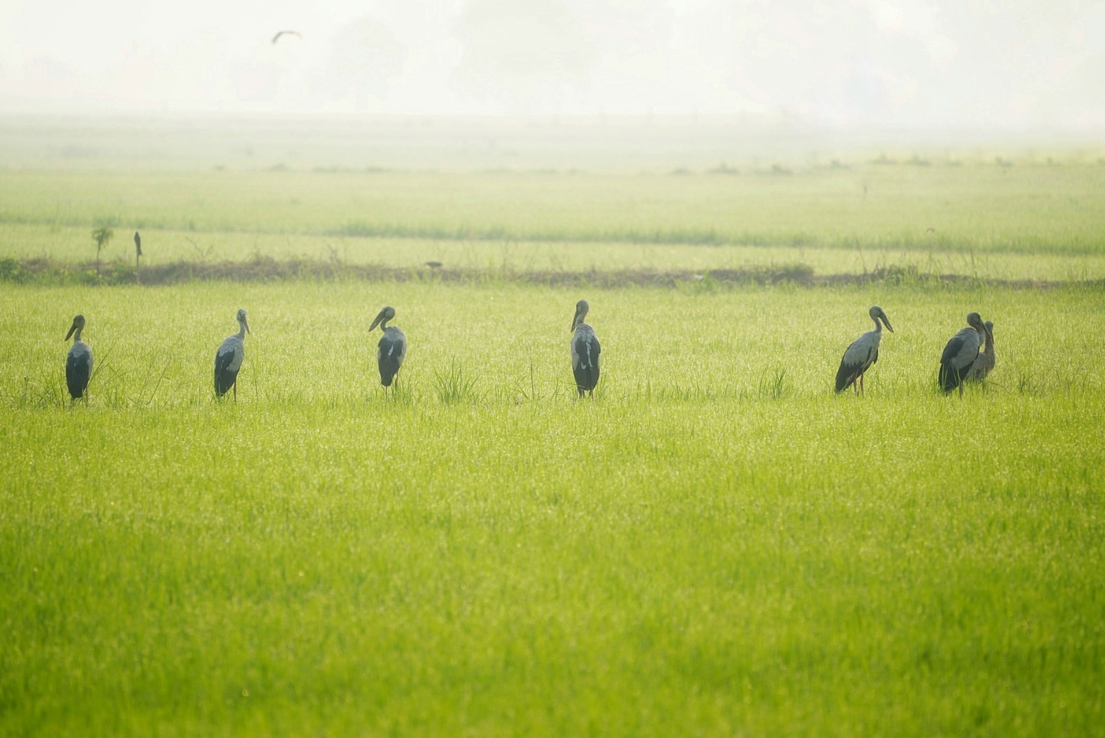 Sony a9 sample photo. Morning photography