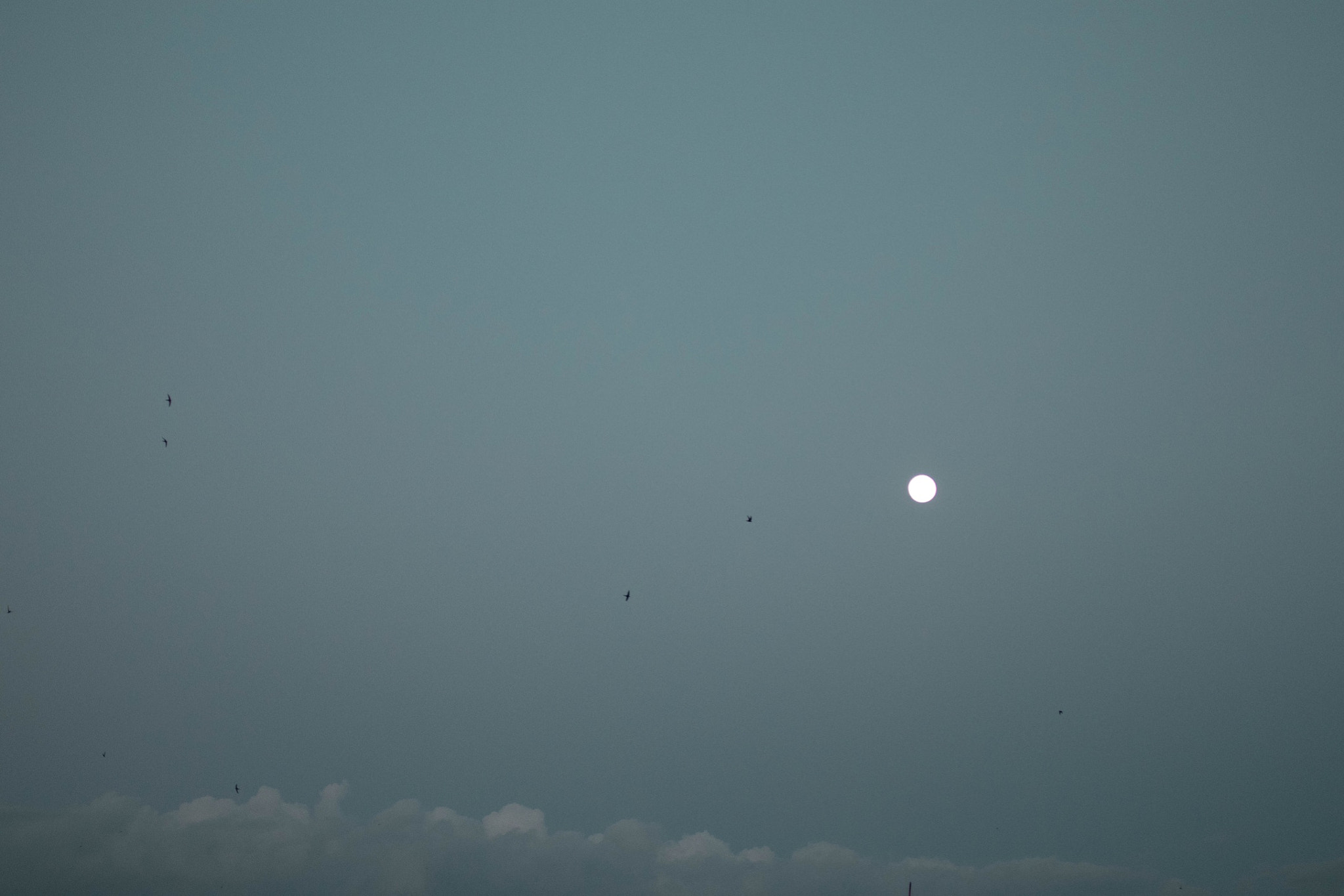 Canon EOS 800D (EOS Rebel T7i / EOS Kiss X9i) sample photo. Moon.. photography