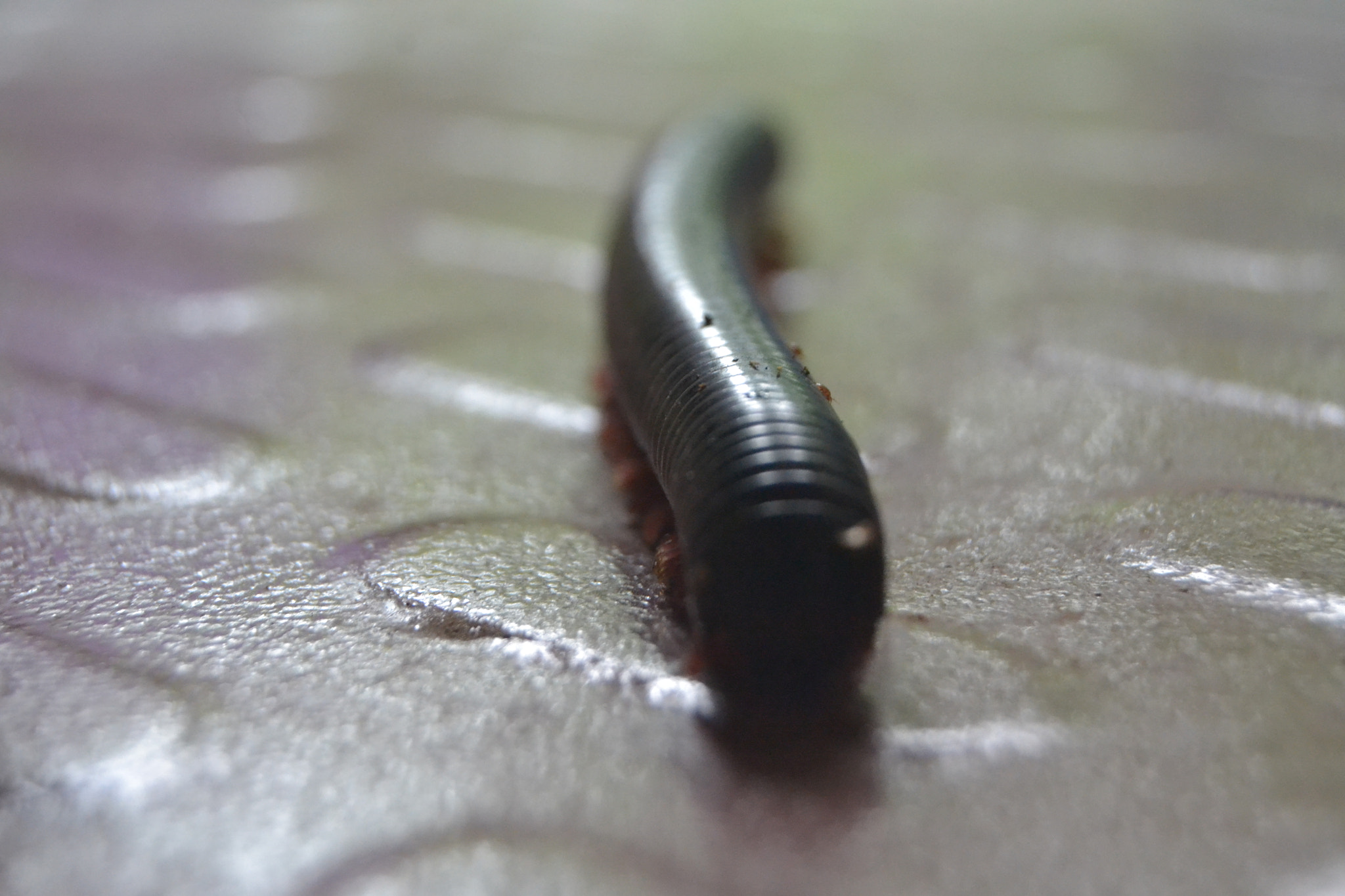 Nikon D3100 sample photo