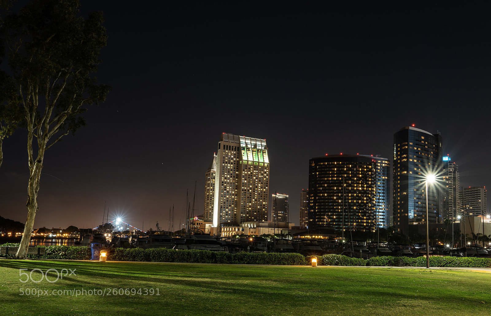 Sony a7R II sample photo. Untitled photography