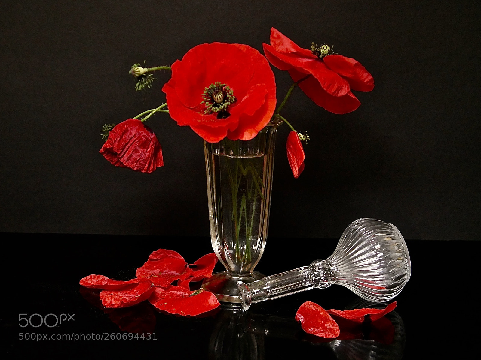 Panasonic Lumix DMC-GX85 (Lumix DMC-GX80 / Lumix DMC-GX7 Mark II) sample photo. Red in the dark photography