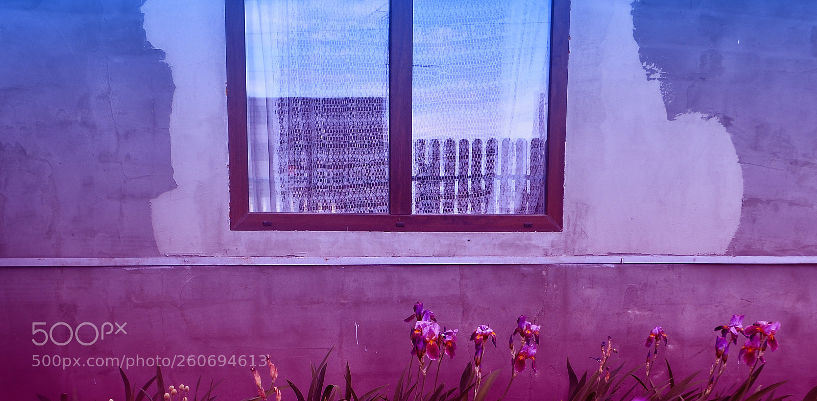 Nikon D5100 sample photo. Closed window photography