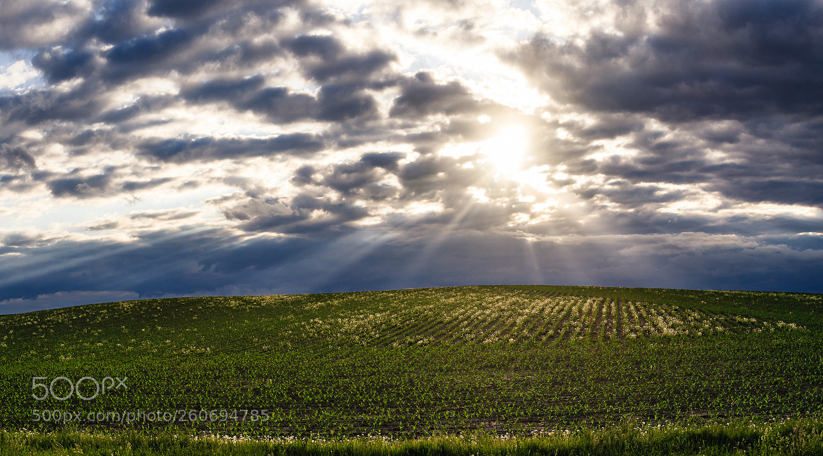 Canon EOS 7D Mark II sample photo. Sunbeams dancing over a photography