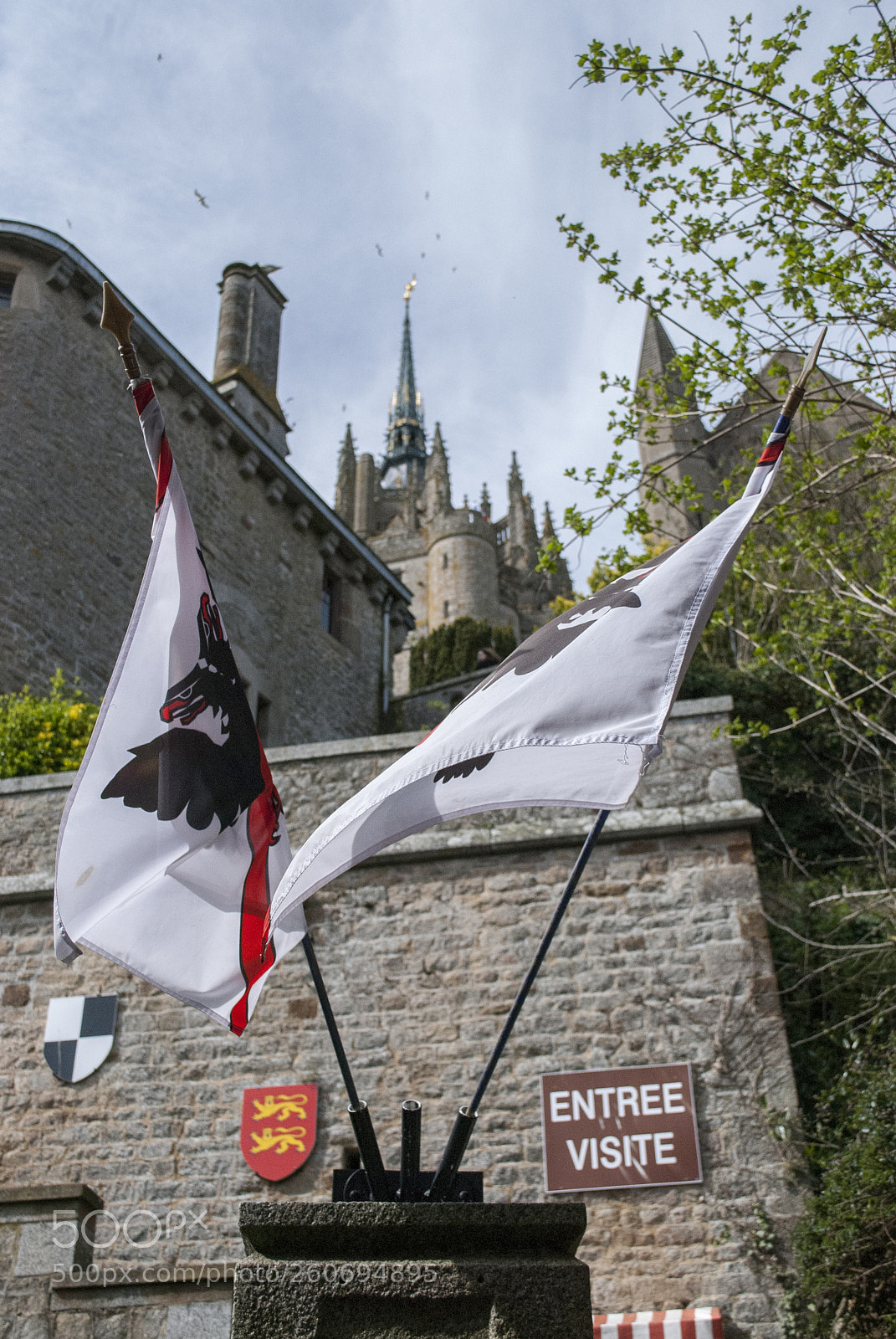 Nikon D60 sample photo. Flags in the air photography