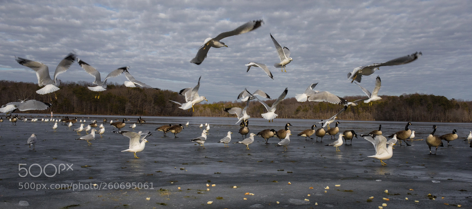 Canon EOS 5D Mark IV sample photo. Beach, portrait, landscape photography
