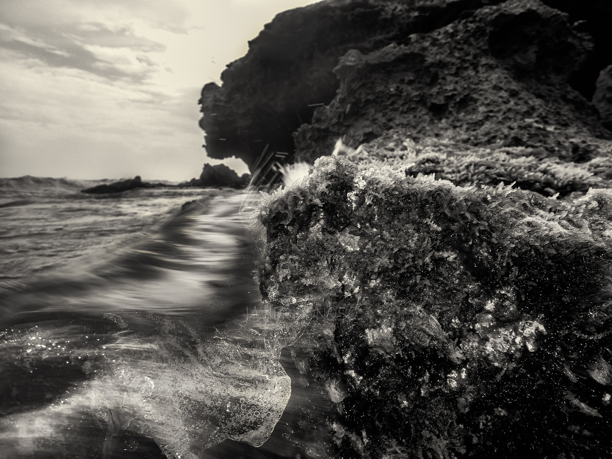 Olympus TG-4 sample photo. Javier donoso lozano photography