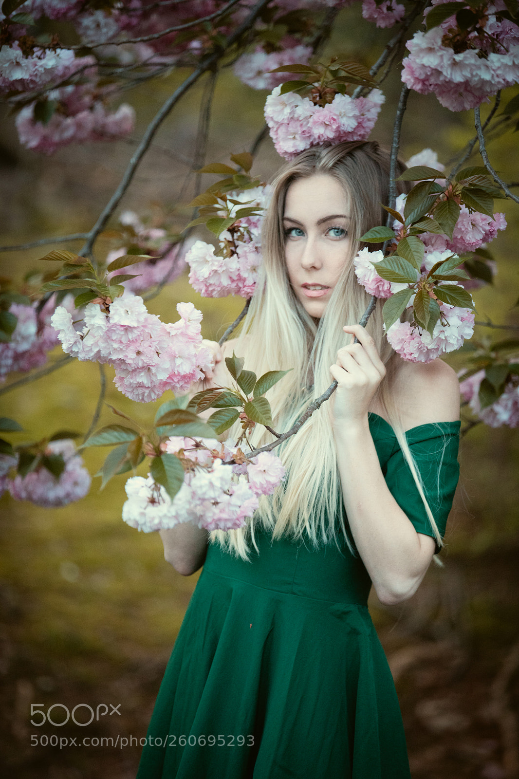 Canon EOS 5D Mark IV sample photo. Beach, portrait, landscape photography