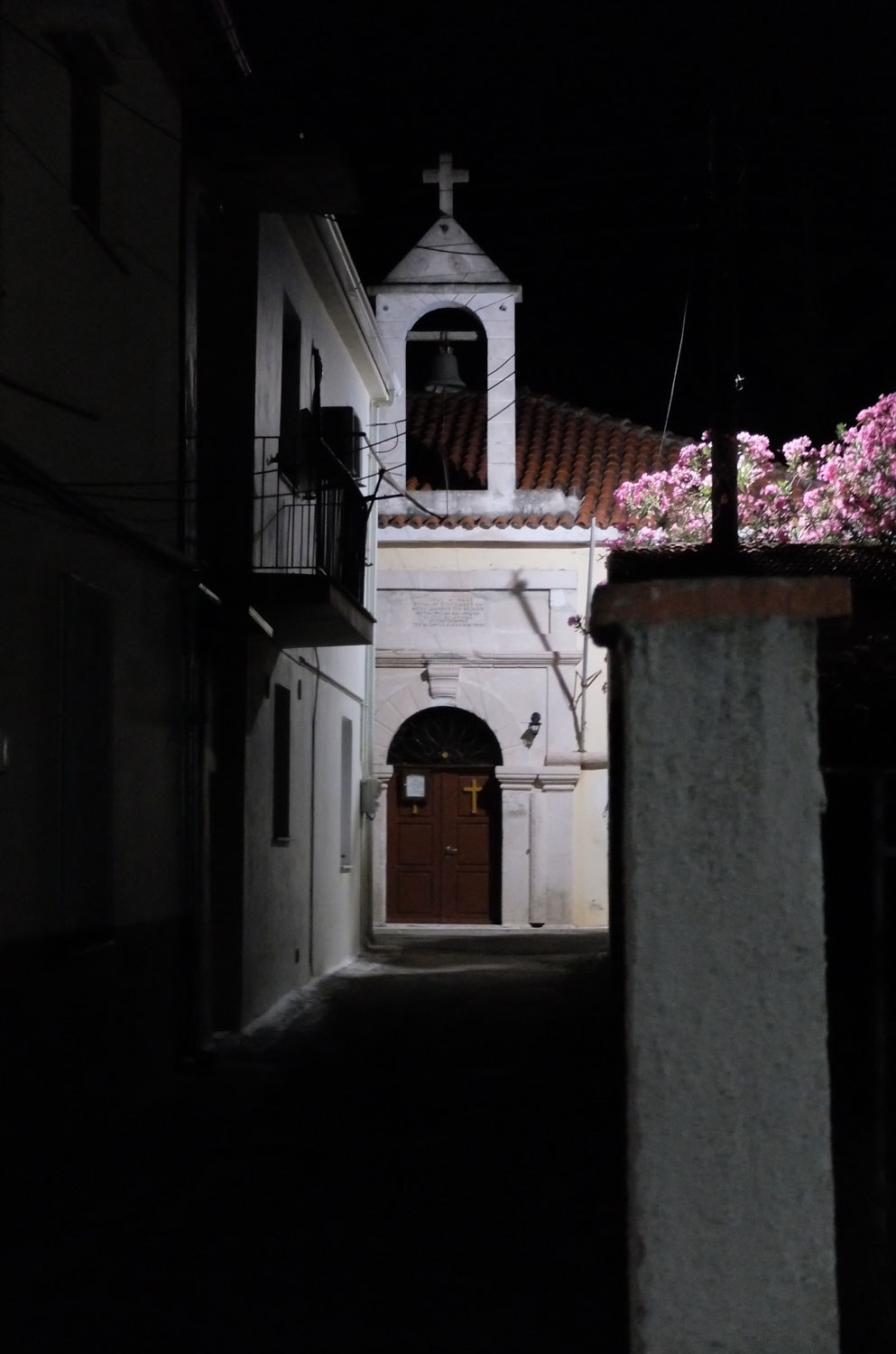 Fujifilm X20 sample photo. Silent walk photography