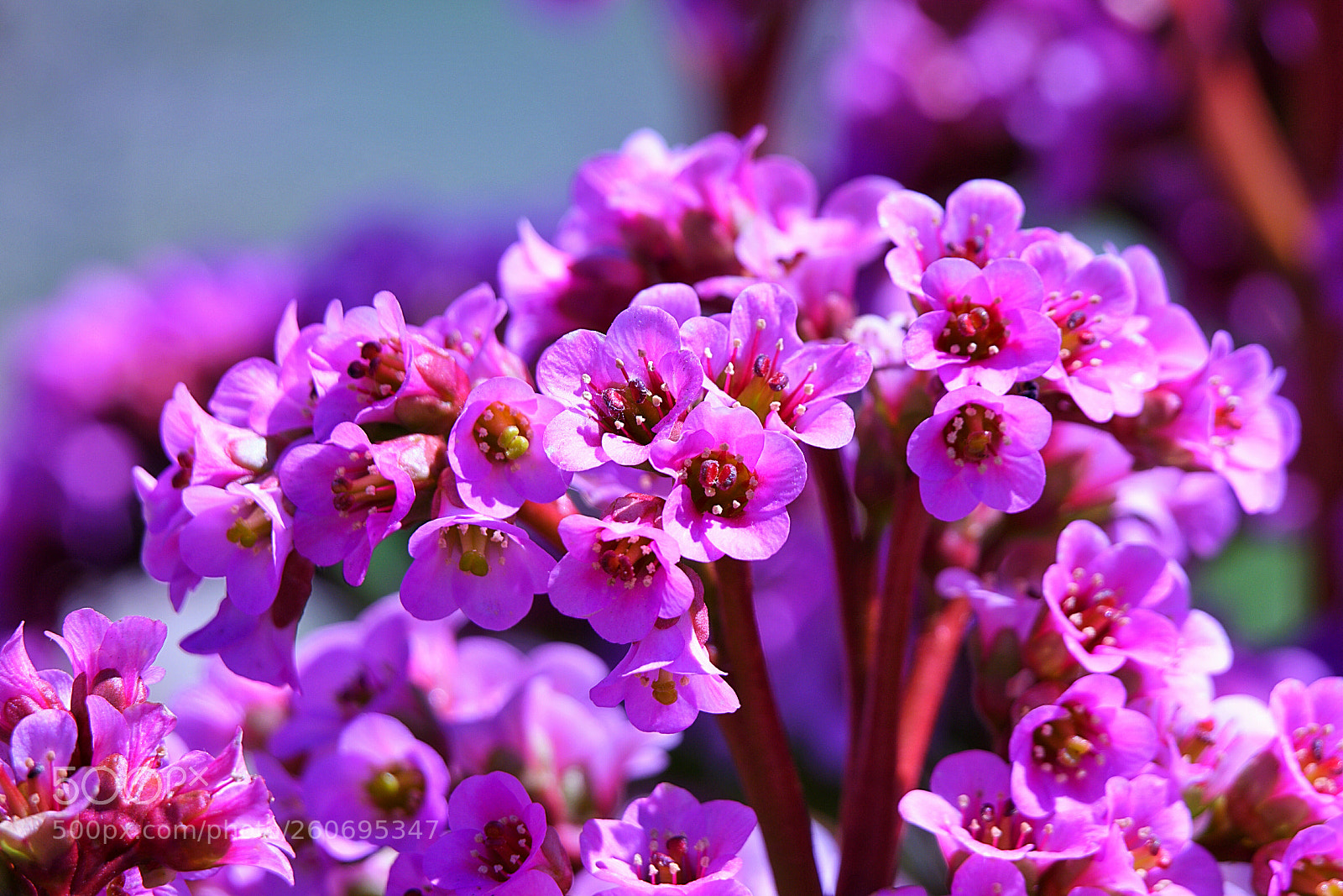 Nikon D7200 sample photo. Untitled photography