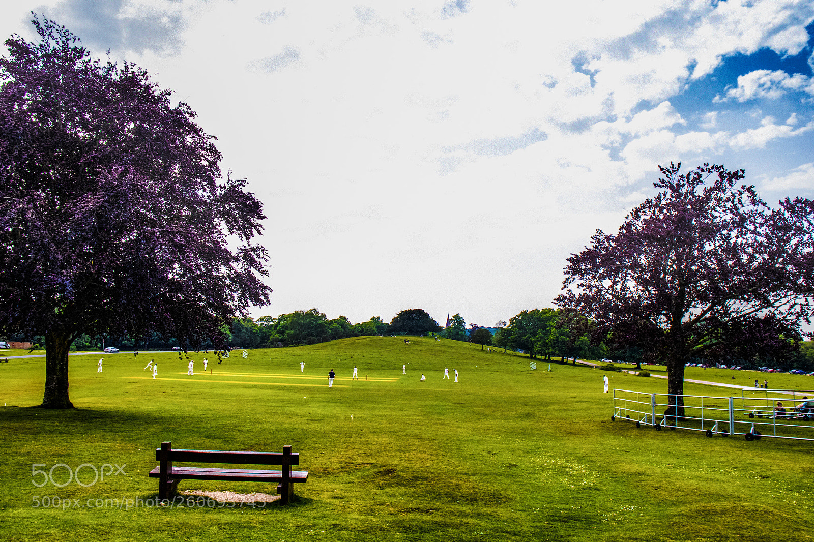 Canon EOS 200D (EOS Rebel SL2 / EOS Kiss X9) sample photo. New forest photography