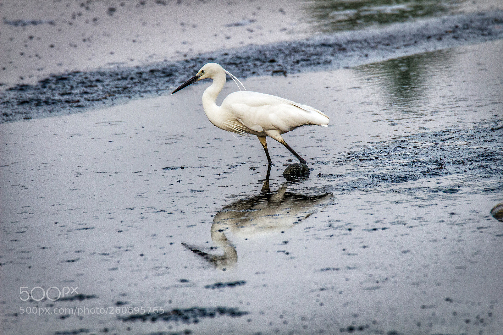 Canon EOS 700D (EOS Rebel T5i / EOS Kiss X7i) sample photo. Reflection photography