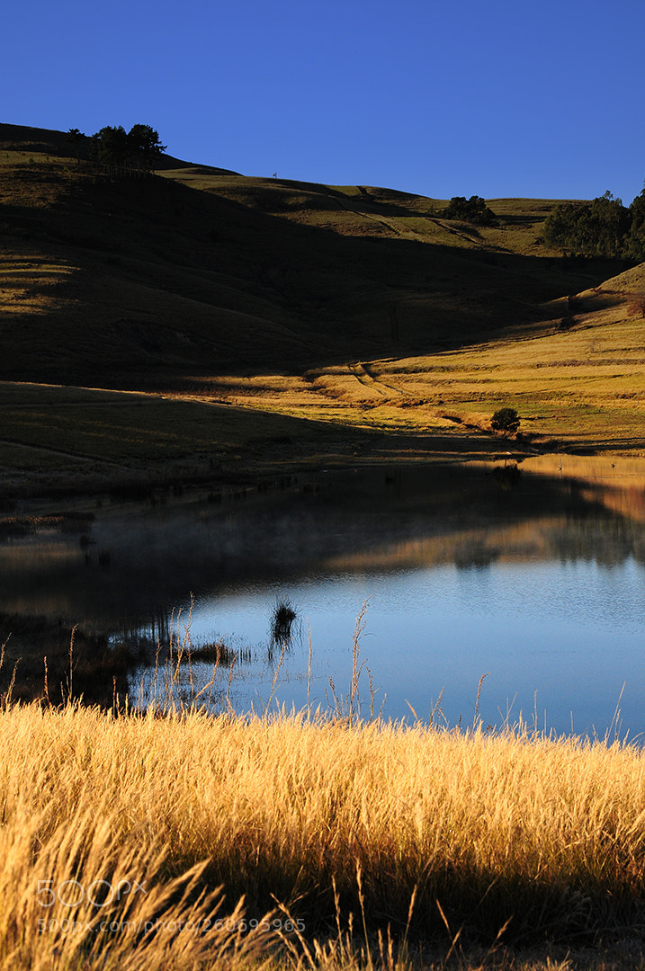 Nikon D300 sample photo. Karkloof scene photography