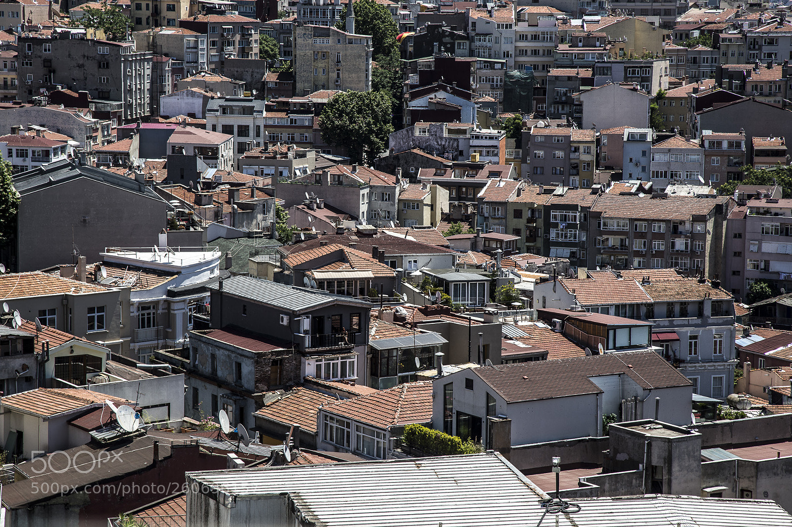 Canon EOS 6D sample photo. 2903 photography