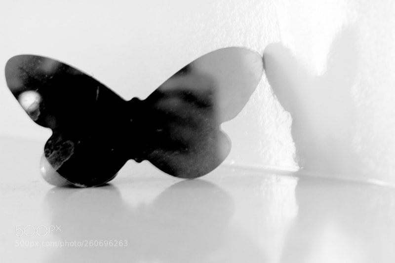 Canon EOS 7D sample photo. 3509.jpg photography