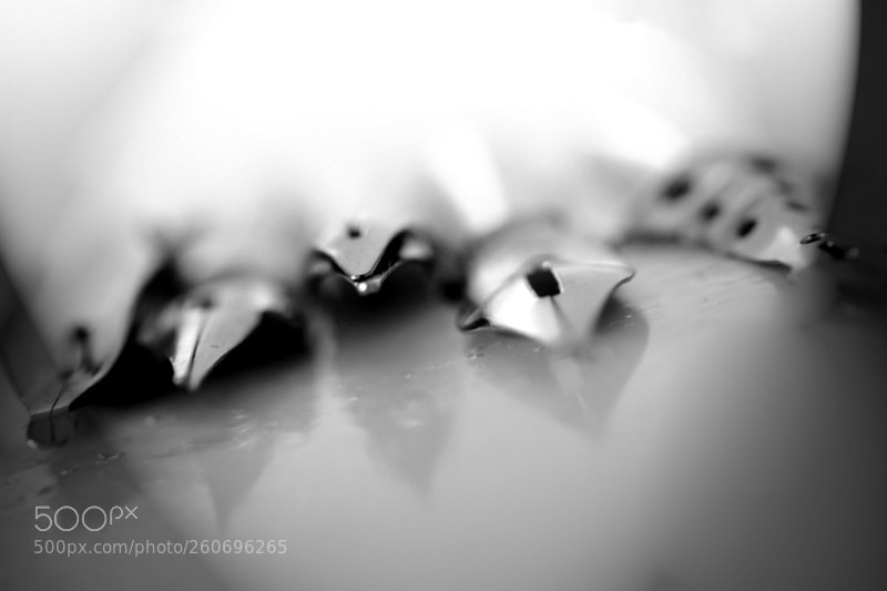 Canon EOS 7D sample photo. 3517.jpg photography