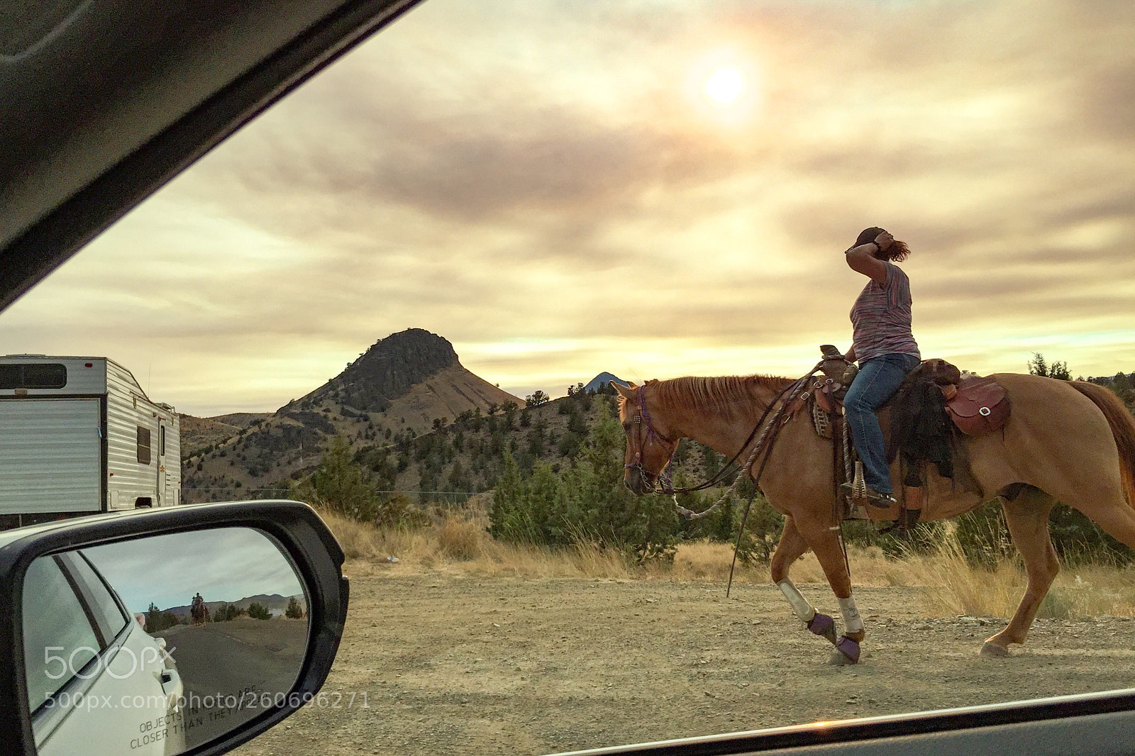Apple iPhone 6 sample photo. A horseback rider on photography
