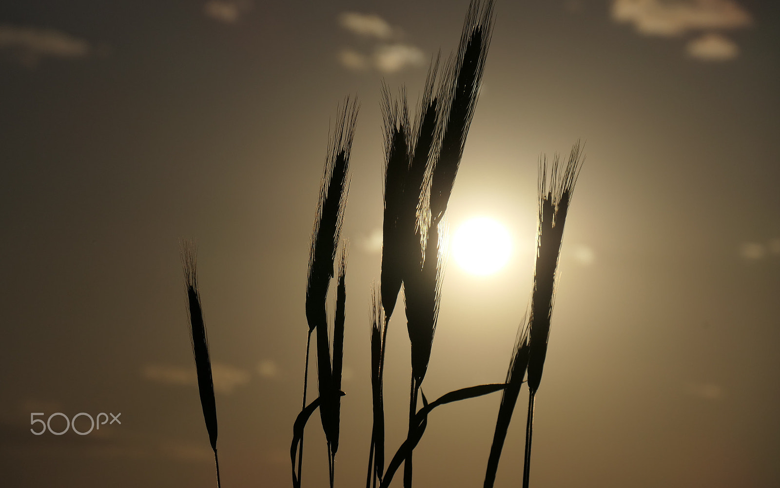 Panasonic DC-TZ200 sample photo. Sunset photography