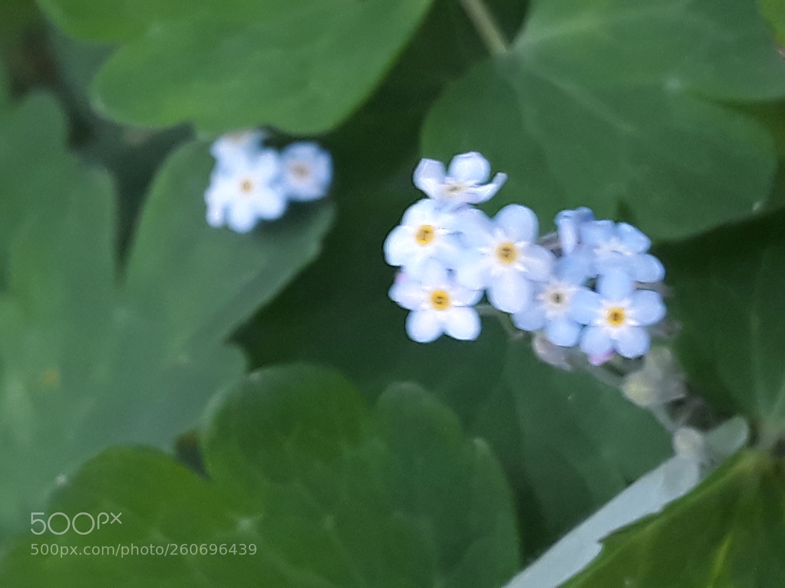 Samsung Galaxy J7 sample photo. Untitled photography