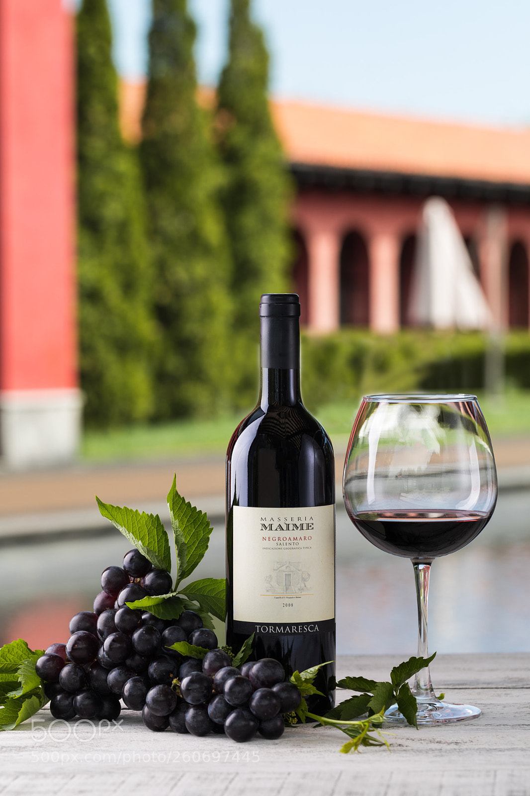 Canon EOS 5D Mark IV sample photo. Vine villa dei fiori photography