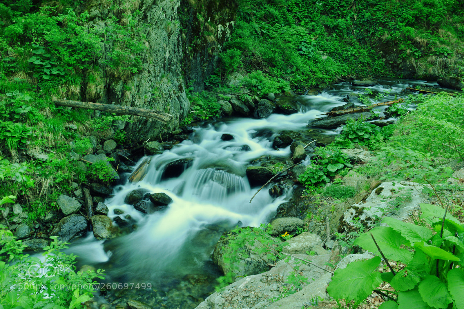 Nikon D800 sample photo. N photography