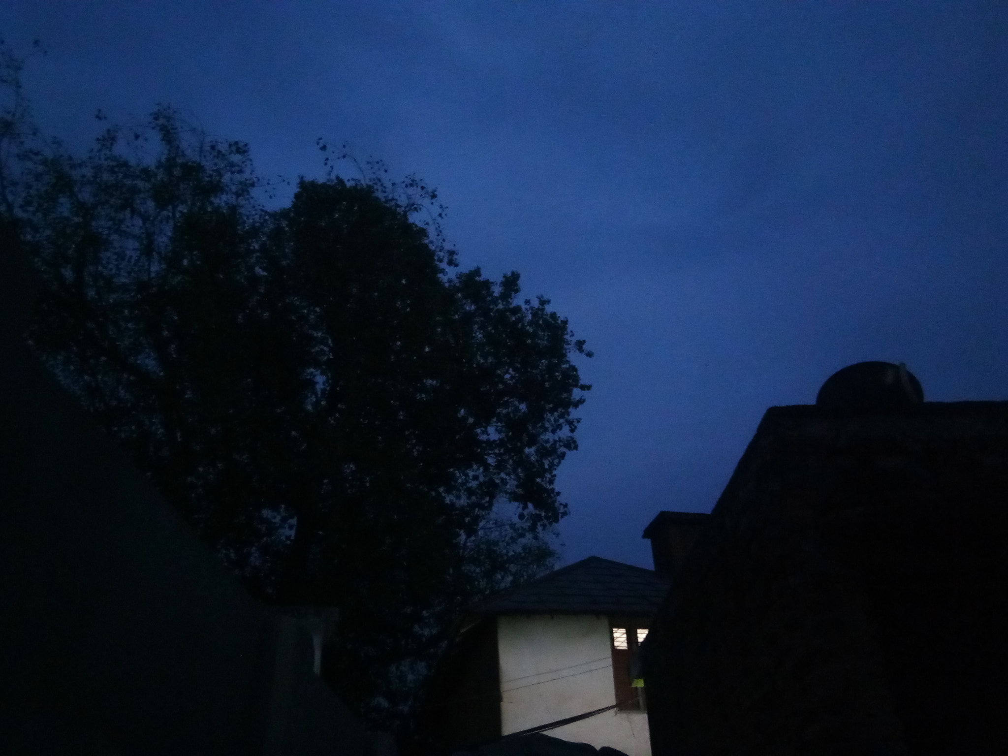 vivo 1601 sample photo