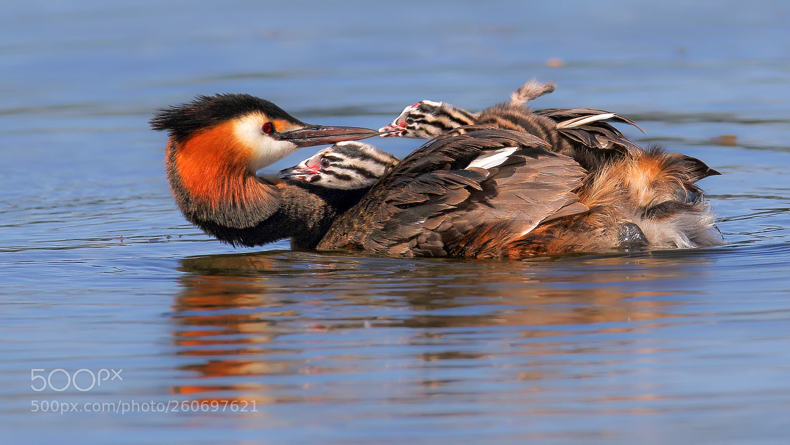 Canon EOS 7D Mark II sample photo. Father's kiss photography