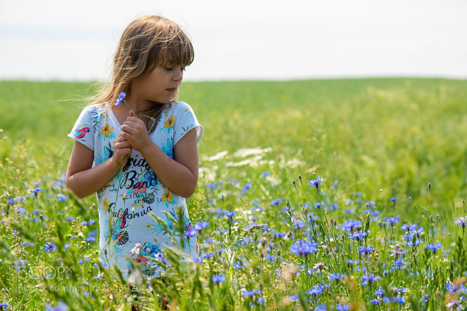 Nikon D810 sample photo. Zosia photography
