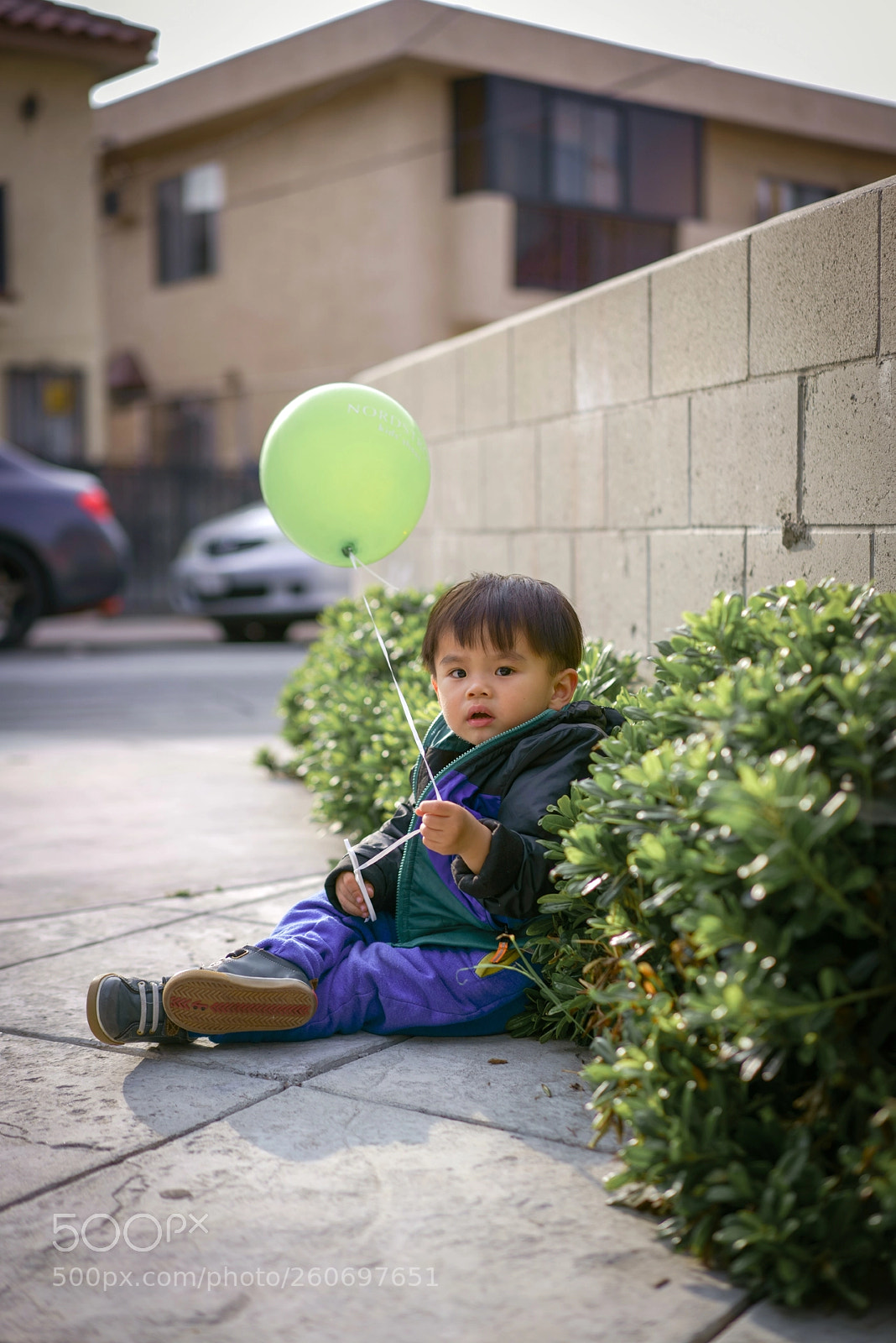 Sony a7R II sample photo. Dsc photography