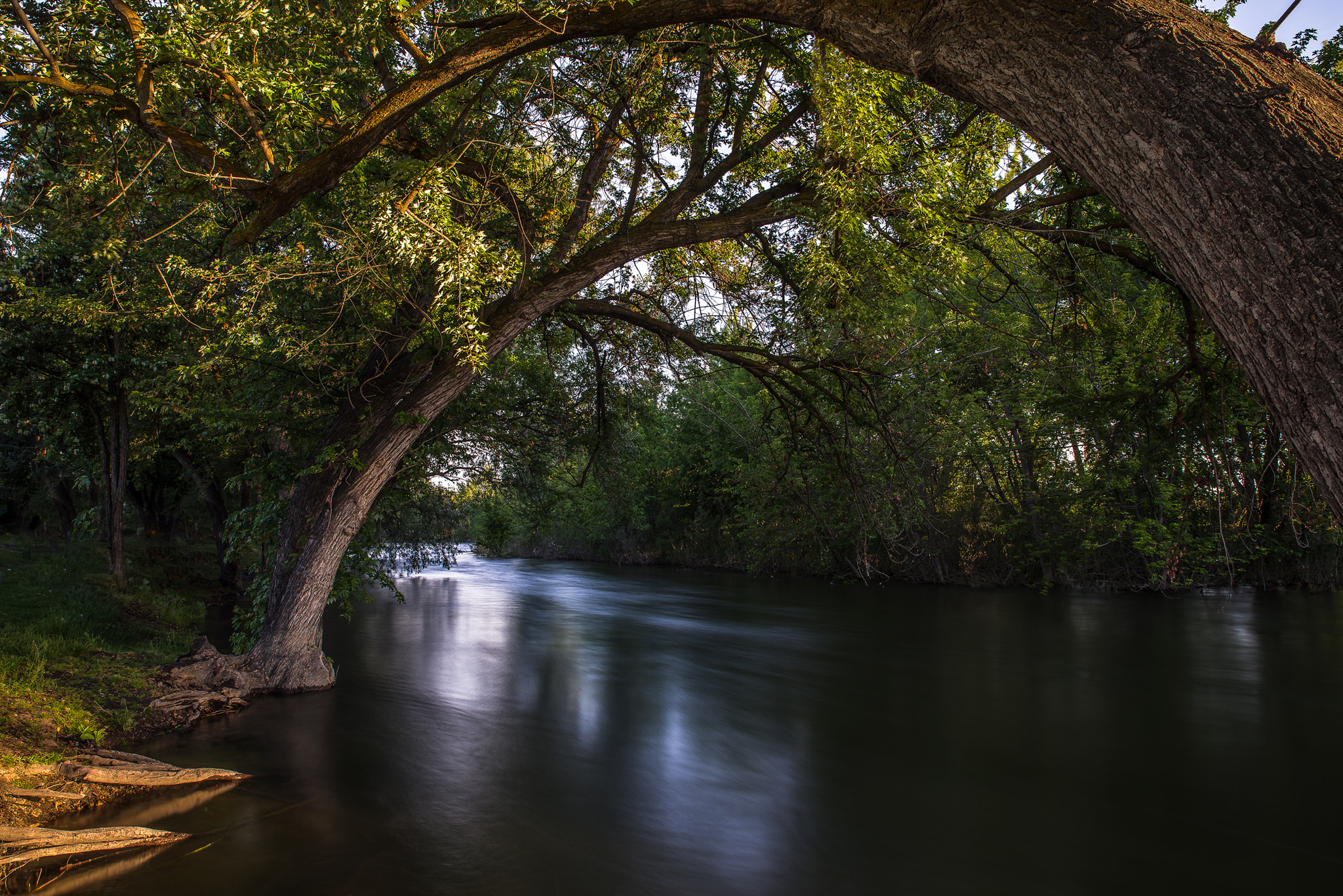 Pentax K-1 Mark II sample photo. Golden arches photography