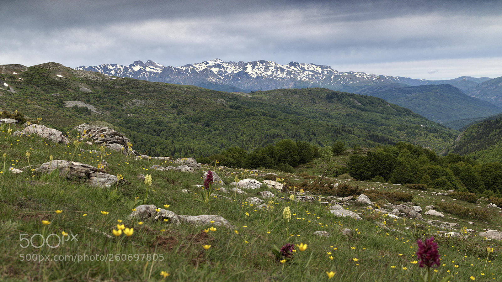 Canon EOS 6D sample photo. Mavrovo, macedonia photography
