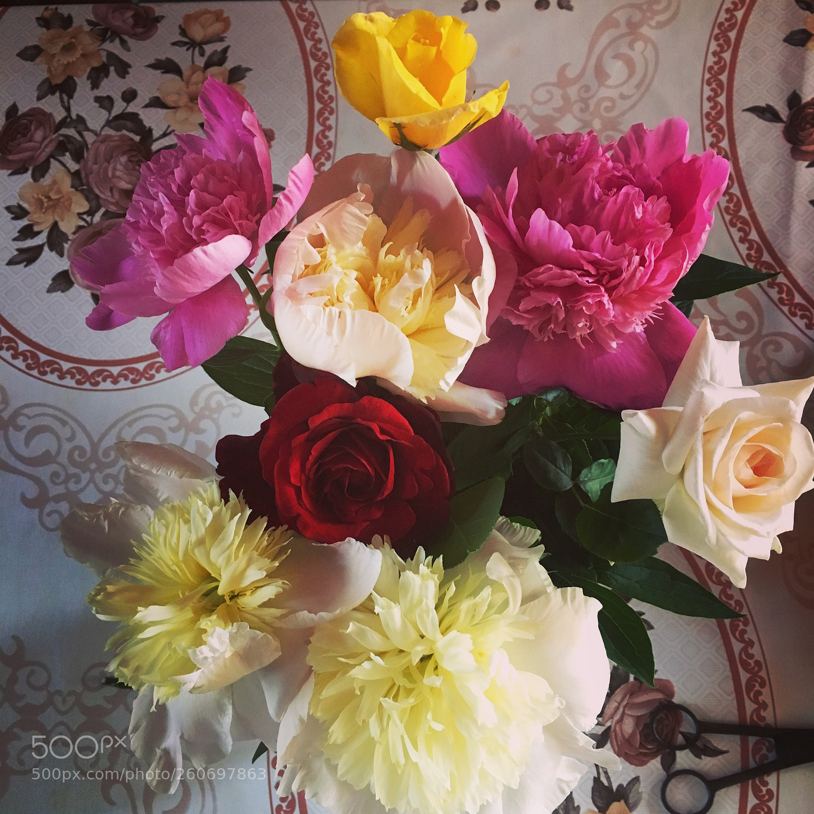 Apple iPhone 6s sample photo. Untitled photography